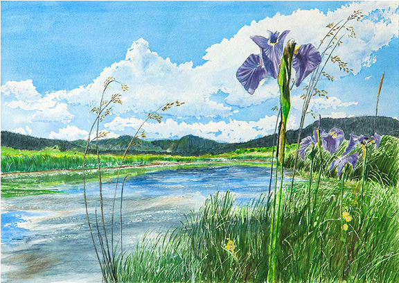 Watercolor On Paper - Painting (575x575), Png Download