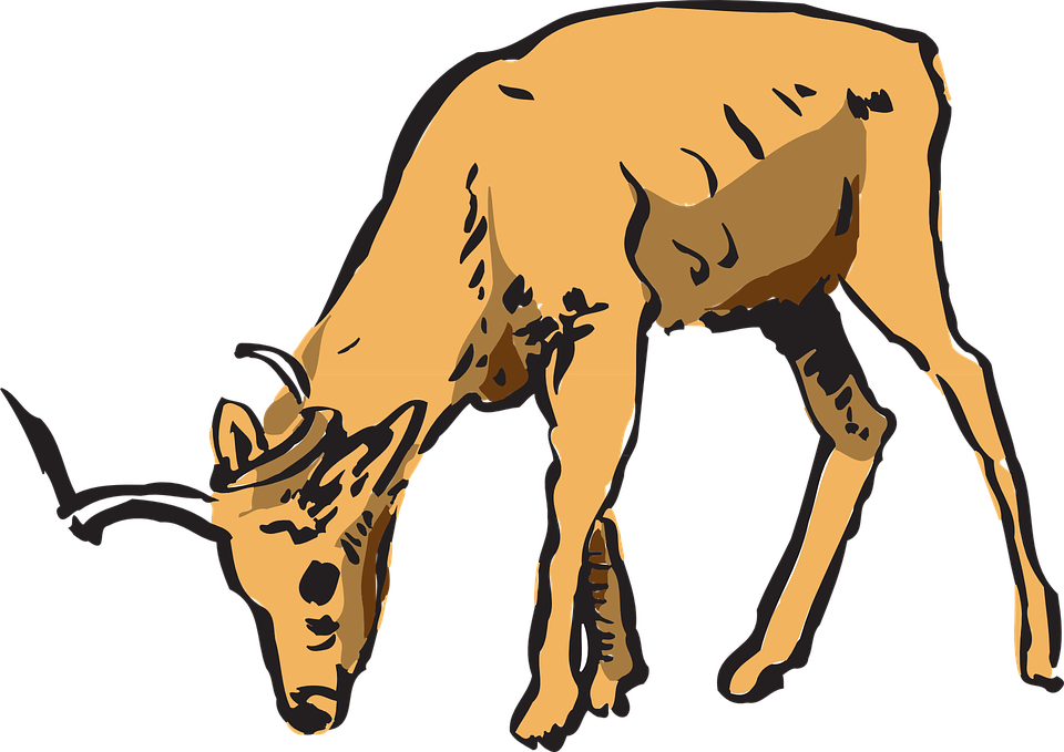 Horns Clipart Wildlife Pencil And In Color Horns Clipart - Deer Eating Clipart (960x679), Png Download
