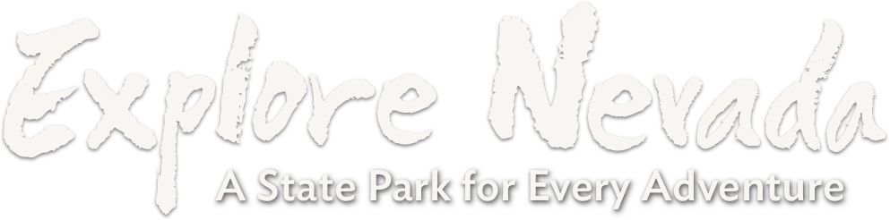 Park (993x246), Png Download