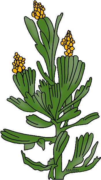 Nevada Clipart Nevada State (386x648), Png Download