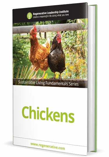 Just $19 - Keeping Chickens 2018 - 16 Month Calendar Includes (374x539), Png Download