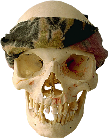 Skull-016 - Cafepress Fireeyed Skull Wall Calendar (379x480), Png Download