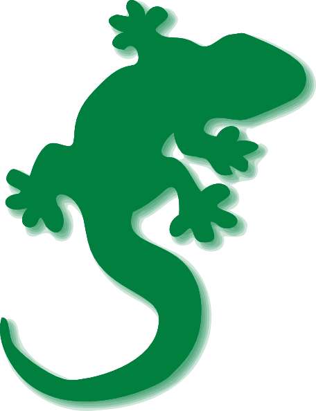 Gecko Png (456x594), Png Download