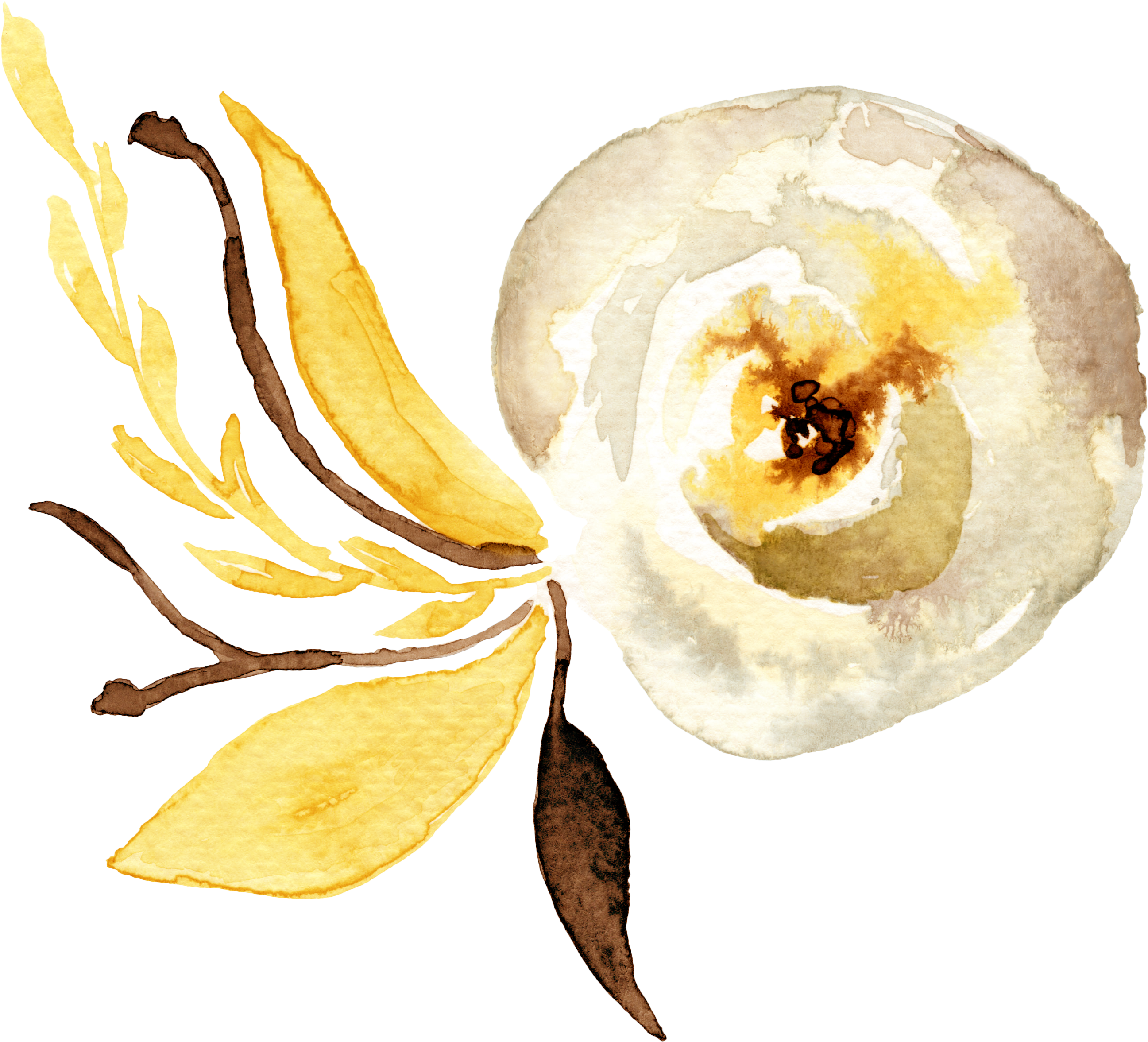 Watercolor Painting (2998x2569), Png Download