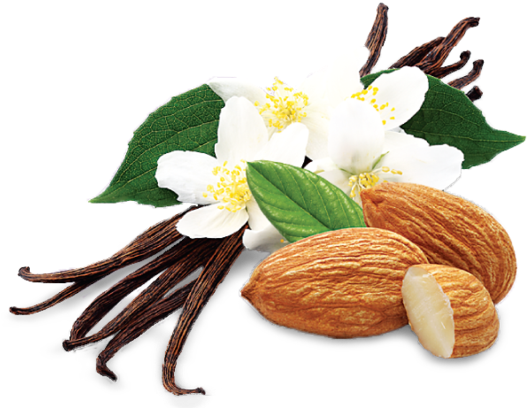 Vanilla Almond Crunch - Umpqua Oats Vanilla Almond Crunch Super Premium Oatmeal (530x416), Png Download