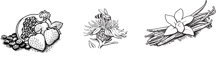 Nishihara Wilkison Design Green Valley Organics Turlock - Sketch (696x205), Png Download