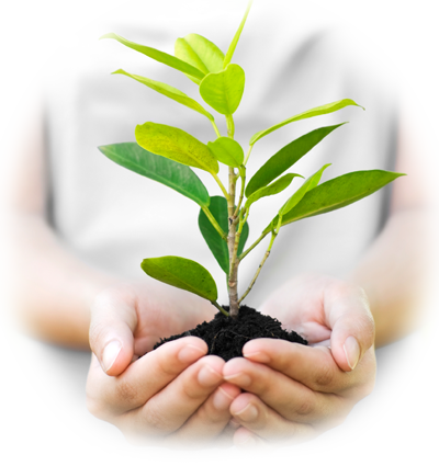 Environment - Trees Prevent Global Warming (400x425), Png Download