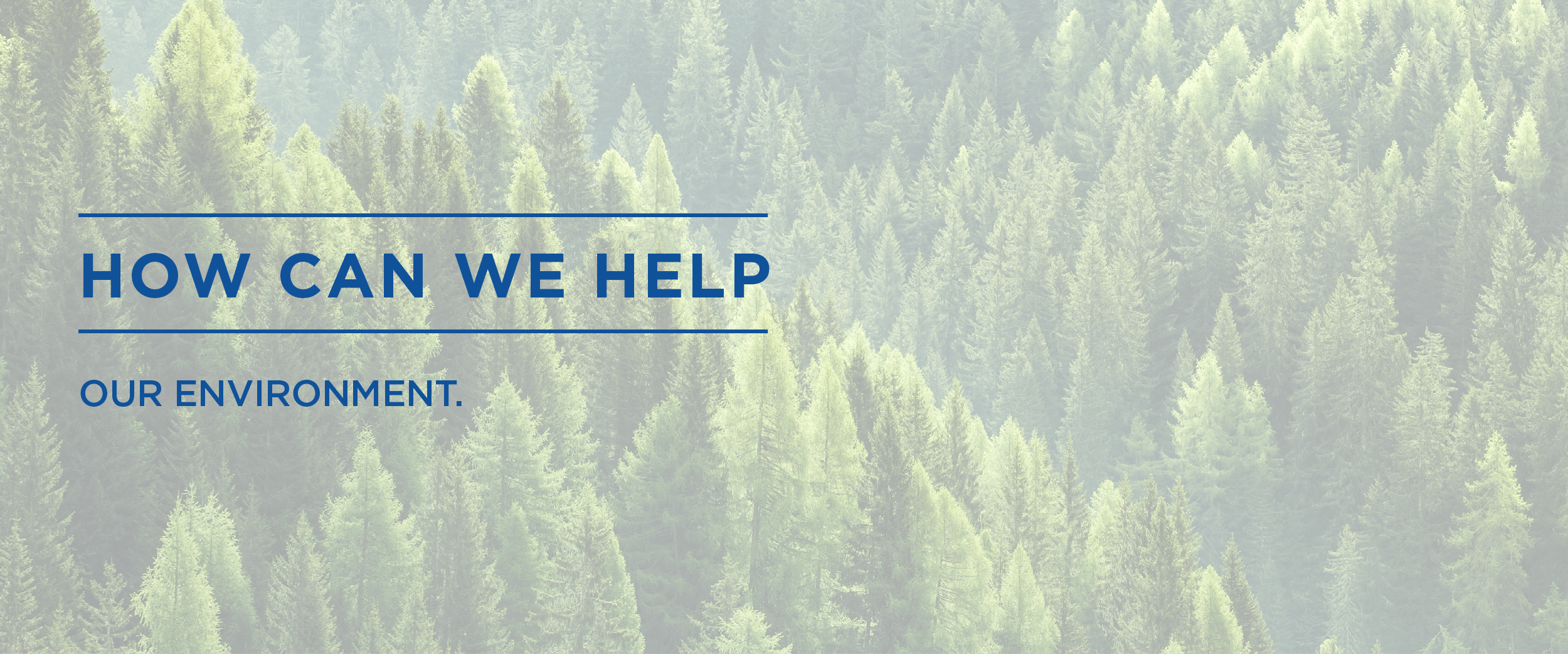Environmental Infographic - Infographic (2500x1042), Png Download