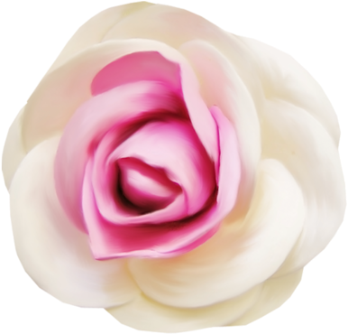 Rose - Portable Network Graphics (500x500), Png Download