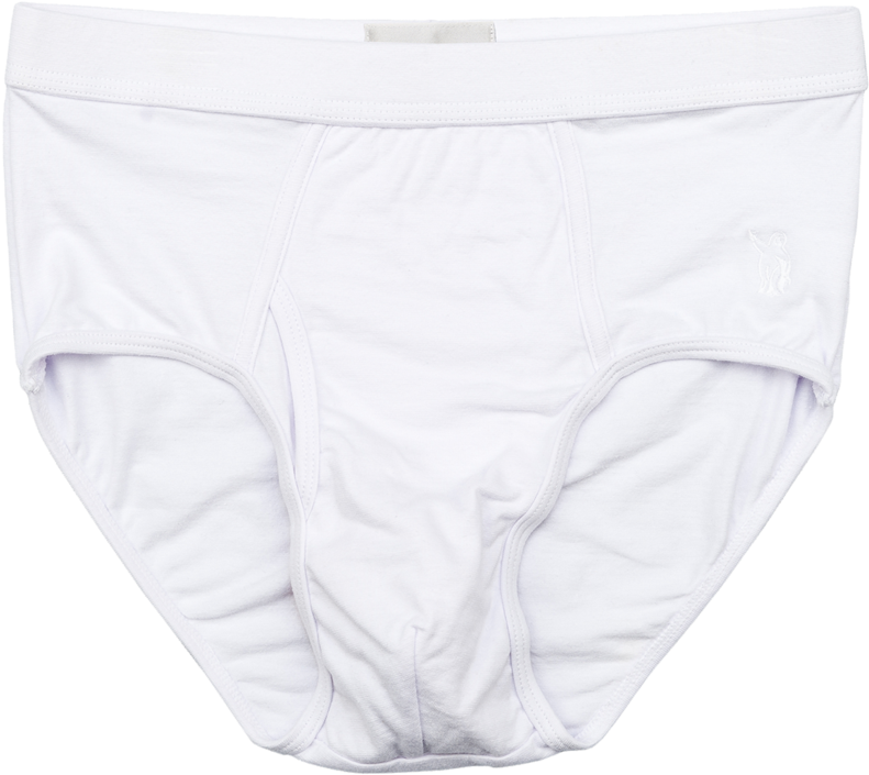 White Briefs - Culottes (1024x1024), Png Download