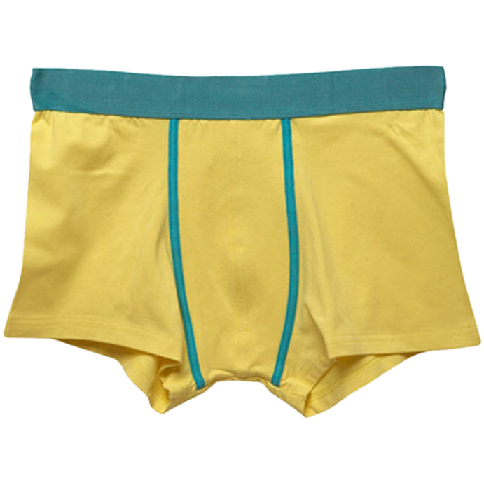 Download Underwear8 - Mens Underwear Png Transparent - Full Size PNG ...