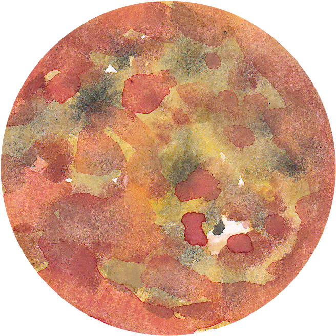 Venus - Circle (726x729), Png Download