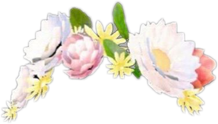 Snapchat Sticker By Editor For Picsart - Snapchat Flower Filter Png (843x843), Png Download
