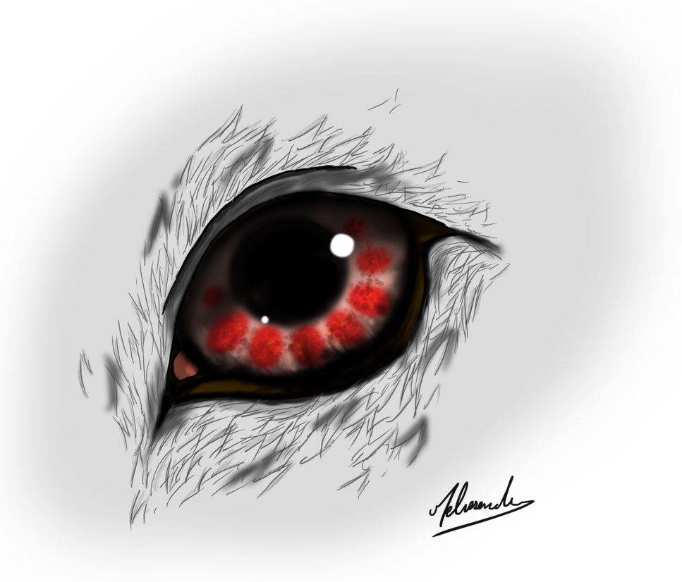 Eye Blood Wolf By The - Painting (967x826), Png Download