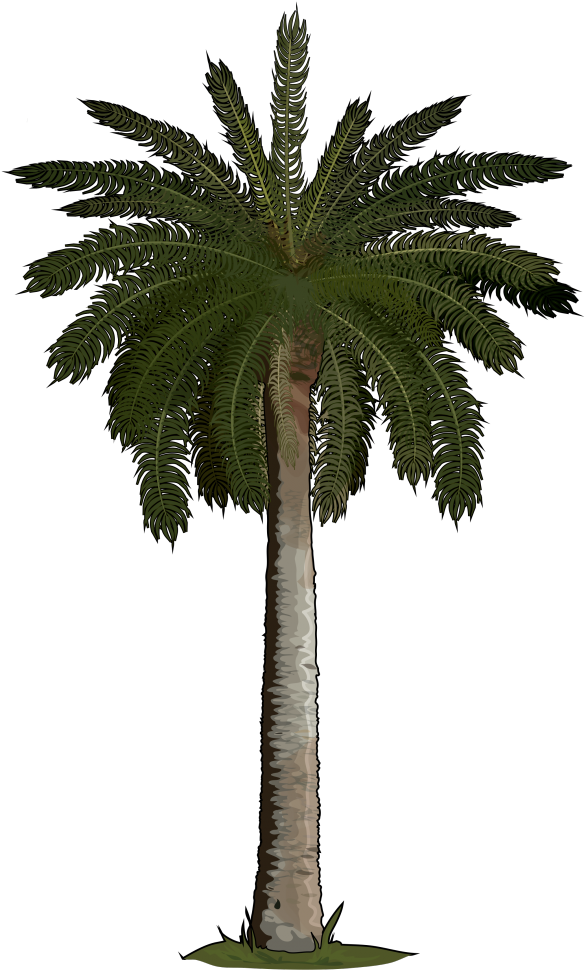 Archivo - Palmera-canaria - Fake Palm Tree (700x990), Png Download