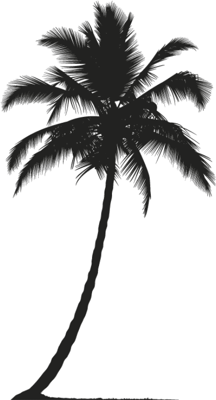 Download Palmera Coconut Tree Silhouette Png Full Size Png Image Pngkit