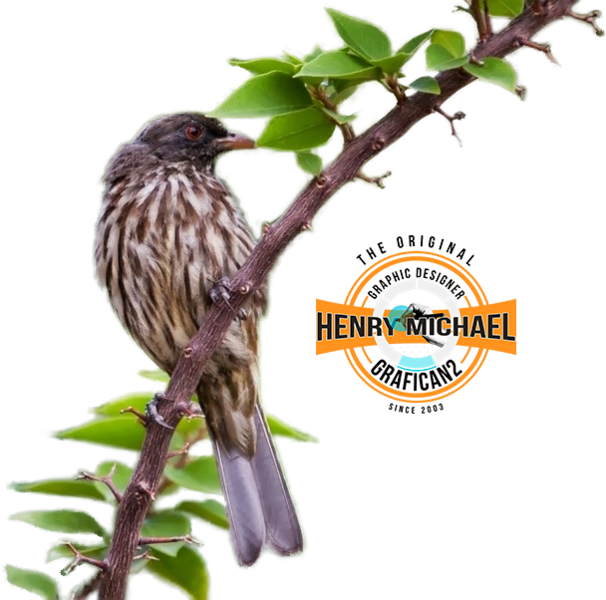 Cigua Palmera Rd - Rufous-bellied Thrush (606x600), Png Download