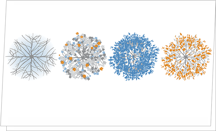 Holiday2 - Portable Network Graphics (806x504), Png Download