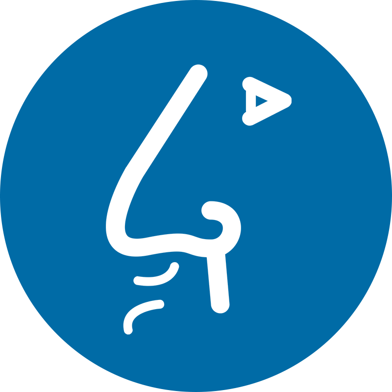 Icon Representing Odor Pollution - Icono Telefono Png Transparente (800x800), Png Download