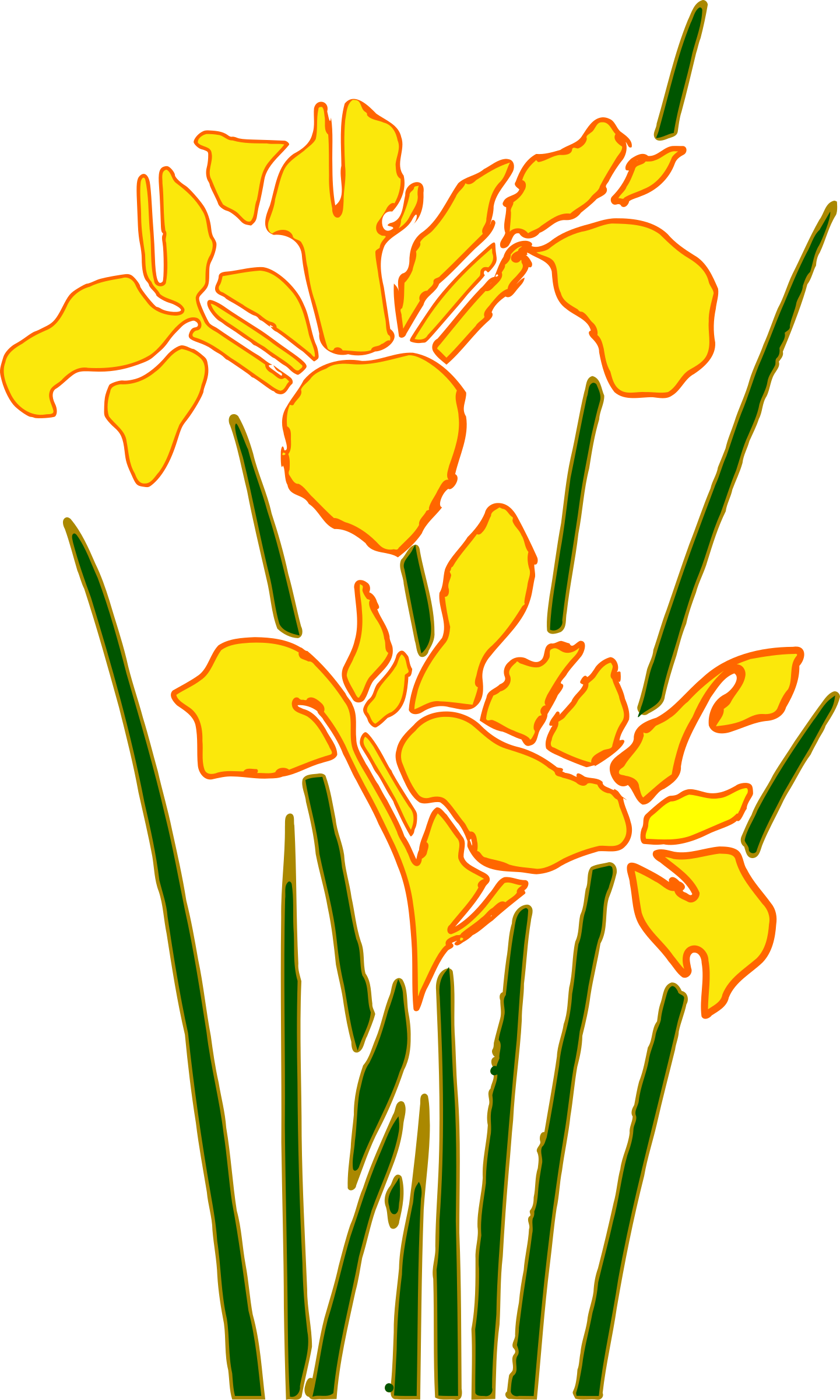 This Free Icons Png Design Of Iris 2 (1441x2400), Png Download