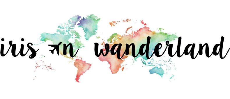 Iris In Wanderland - Boston Terrier I Do What I Square Sticker 3" X 3" (1276x342), Png Download