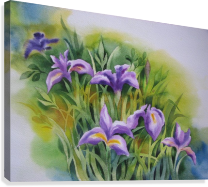 Lily Canvas Print - Iris (429x386), Png Download