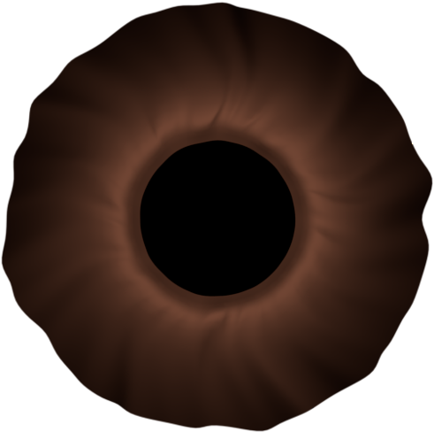 Iris 102 Kb - Ciambella (500x500), Png Download