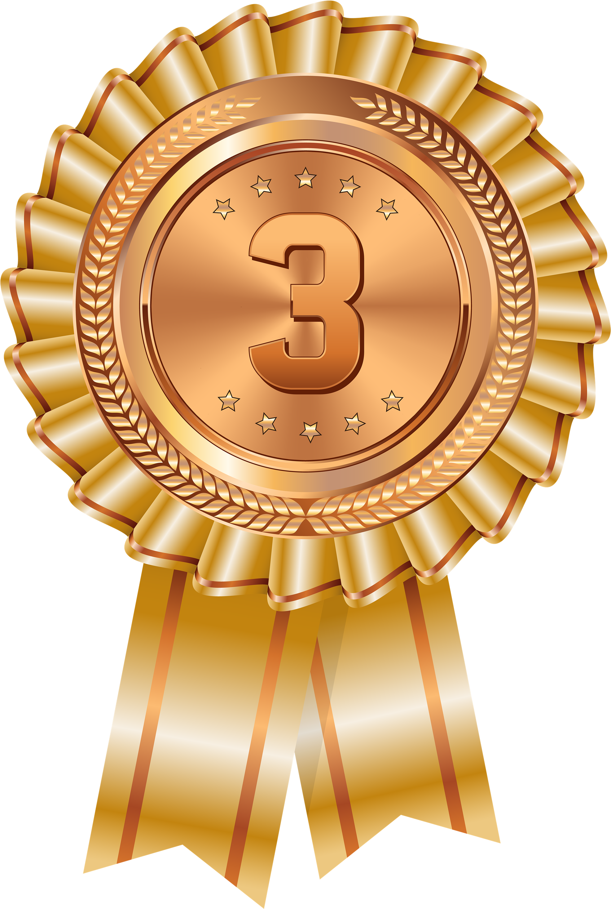 Medal Transparent Image - Ananda Sastralaya National School Matugama (2000x2974), Png Download