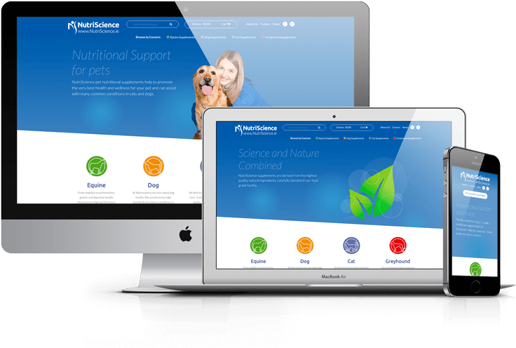Responsive Wordpress Web Design Waterford - Web Design (800x571), Png Download