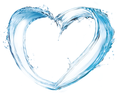 Coracao De Agua - Membrane (444x361), Png Download