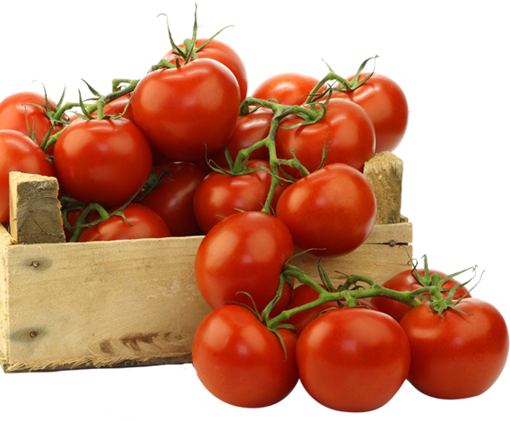 Tomato Flakes Bag 10kg - Half Page Ads Newspaper India (569x470), Png Download