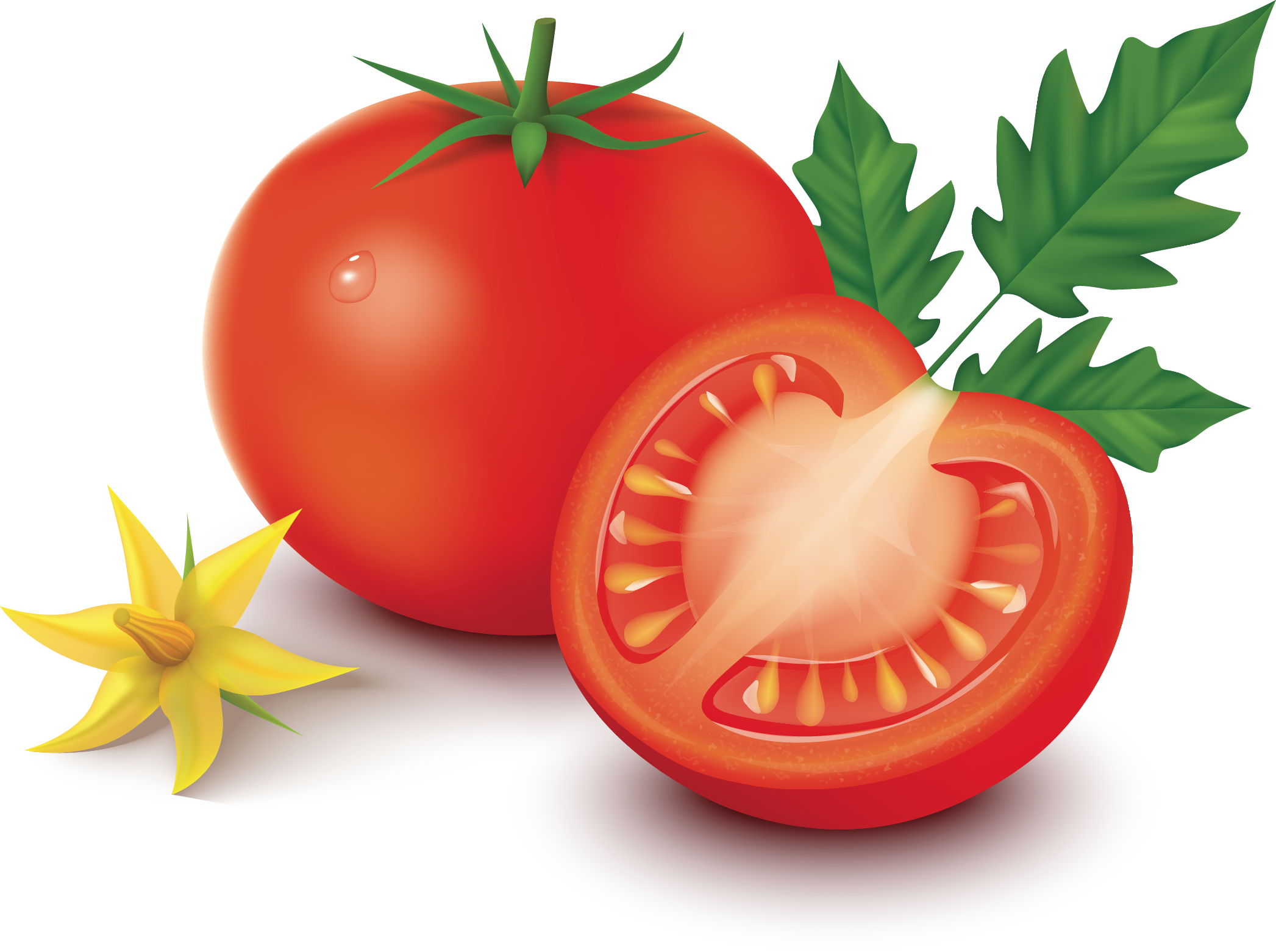 La Tomate Fait Partie De Ces Aliments Que Nous Consommons - Tomato (2093x1562), Png Download