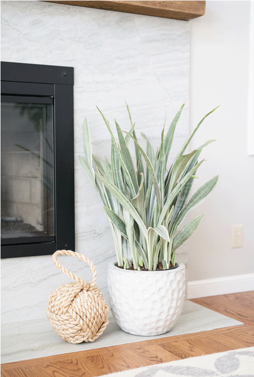 Fireplace Beach Details - Beach (750x750), Png Download