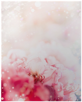 Floral Romantic Pastel Border Background With Red Flowers - Canvas Print (400x400), Png Download