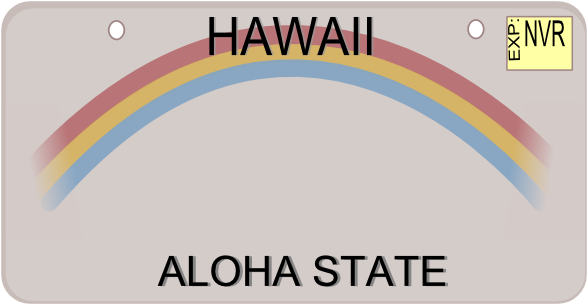 Medal Of Honor License Plate Hawaii (600x317), Png Download