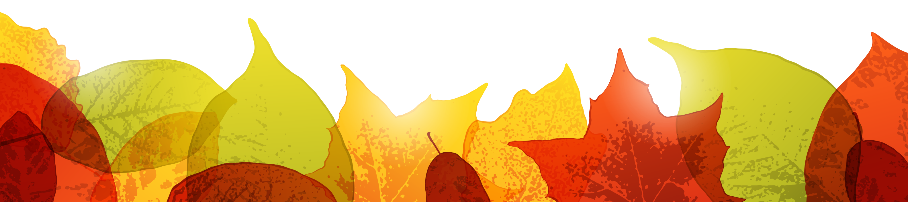 Transparent Leaves Bottom Border (3168x707), Png Download