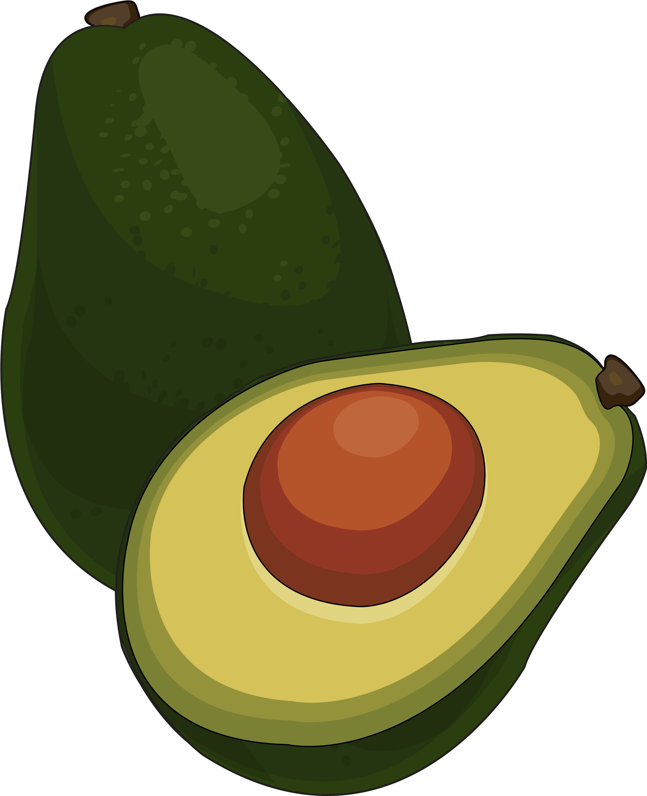 Aguacate - Aguacate Dibujo Png (2480x3508), Png Download