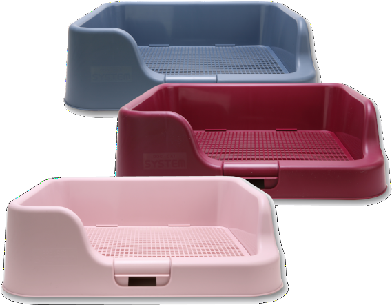 [dogcharge] Indoor Dog Potty Tray With Protection Wall - Dog (600x500), Png Download