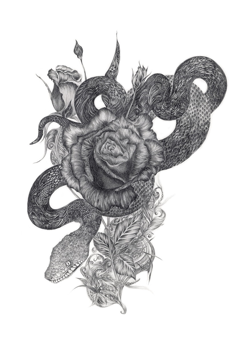 Trip Snake - Special Edition (1200x1200), Png Download