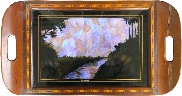 My Blue Morpho Butterfly Wing Tray Collection Is Now - Picture Frame (800x429), Png Download