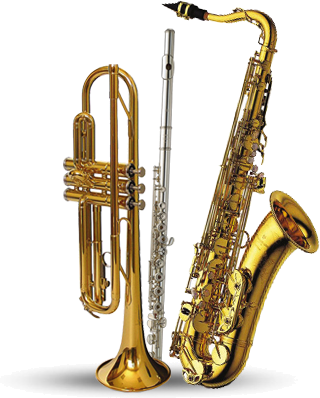 Rental - Yanagisawa Artist T-991 Bb Tenor Saxophone (320x398), Png Download