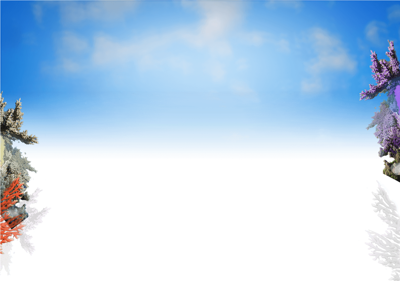 Download Sky Bg Full Christmas Tree Full Size PNG Image PNGkit