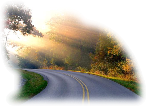 Hebergeur D'image - Good Morning Wishes In Sinhala (600x446), Png Download