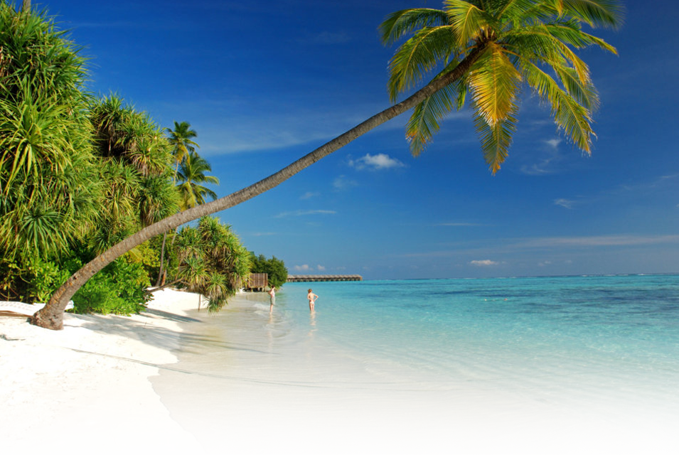 Header-background - Banquet Financial (955x640), Png Download