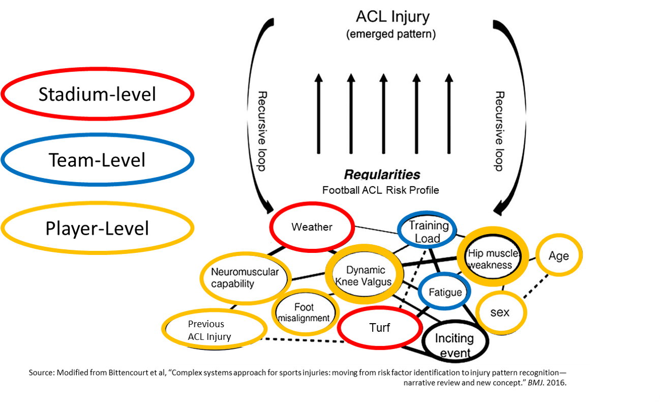 There Are Player Level Factors That Contribute To Injuries, - Injury (1314x811), Png Download