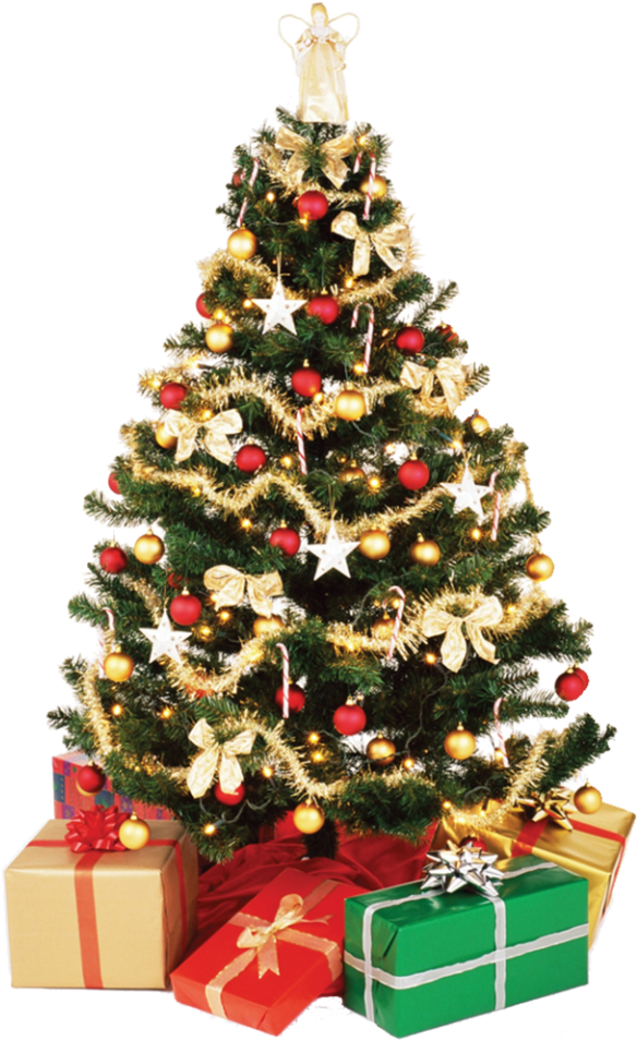 Christmas Tree Png Download Image1 - Christmas Tree Png (960x1024), Png Download