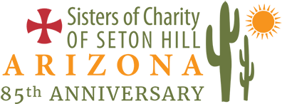 The Sisters Of Charity Of Seton Hill In The American - Sisters Of Charity Of Seton Hill (600x300), Png Download