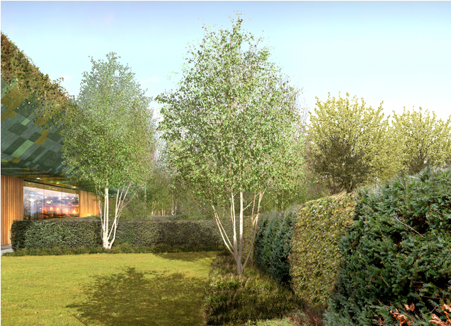 Hersham Golf Club - Canoe Birch (809x460), Png Download