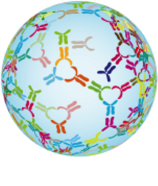 World Down Syndrome Congress 2018 Abstract Submission - World Down Syndrome Congress (455x388), Png Download