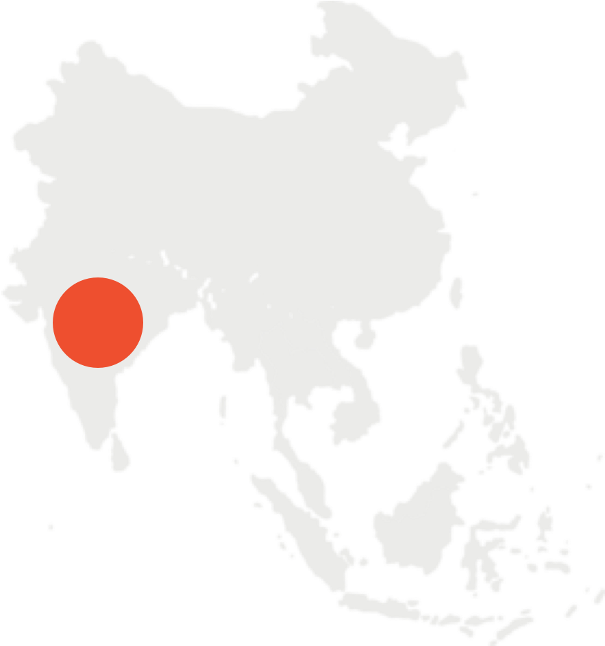 India Map - World Globe Vector Png (1000x1000), Png Download